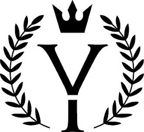 YV logo
