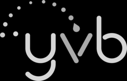 YVB logo
