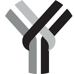 YY logo