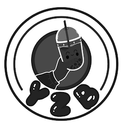 YZB logo