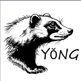 YǑNG logo
