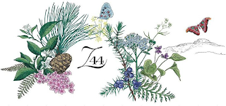 Z 44 logo