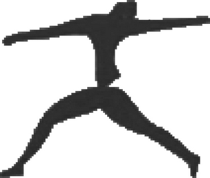 Z logo