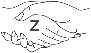Z logo