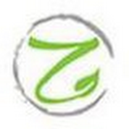Z logo