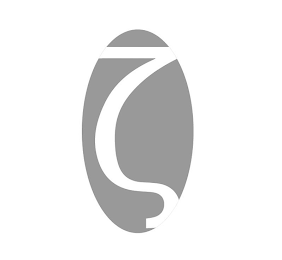Z logo