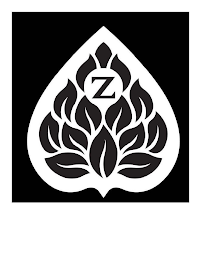 Z logo