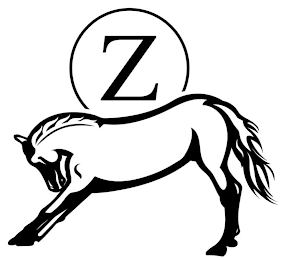 Z logo