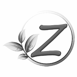 Z logo