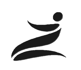 Z logo