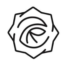 Z R logo