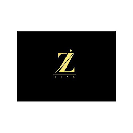 Z STAR logo