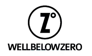 Z WELLBELOWZERO logo