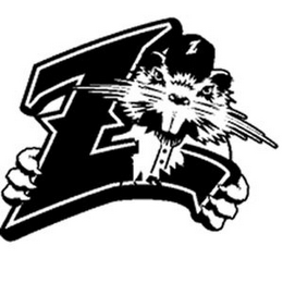 Z Z logo