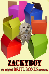 ZACKYBOY THE ORIGINAL BRITE BOXES COMPANY logo