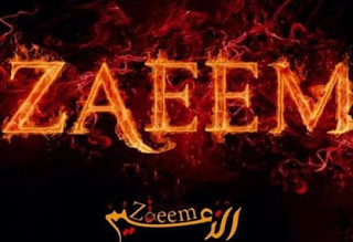 ZAEEM ZAEEM logo