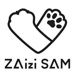 ZAIZI SAM logo