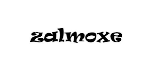 ZALMOXE logo