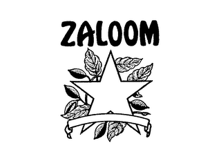 ZALOOM logo