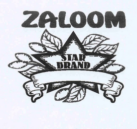 ZALOOM STAR BRAND logo