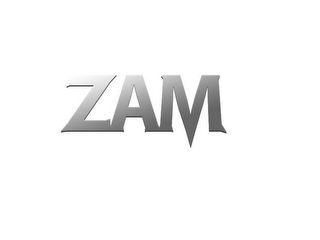 ZAM logo