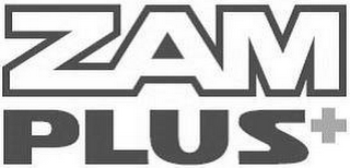 ZAM PLUS + logo