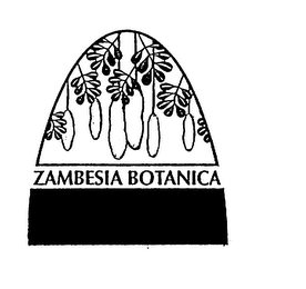 ZAMBESIA BOTANICA logo