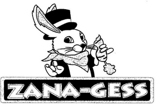 ZANA-GESS logo