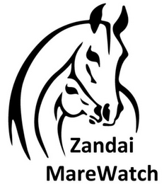 ZANDAI MAREWATCH