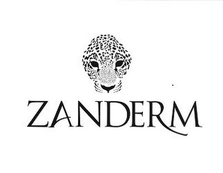 ZANDERM logo
