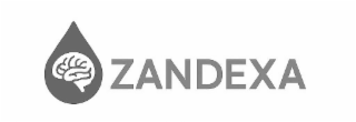 ZANDEXA logo
