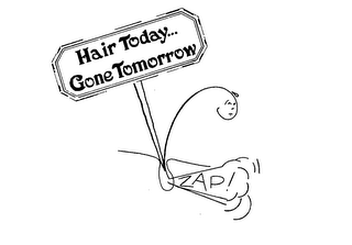 ZAP! HAIR TODAY... GONE TOMORROW logo