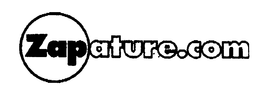 ZAPATURE.COM logo