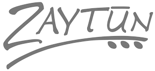 ZAYTUN logo