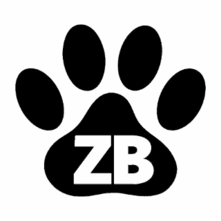 ZB logo