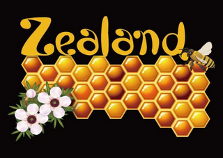 ZEALAND logo