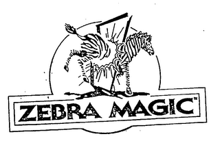 ZEBRA MAGIC logo