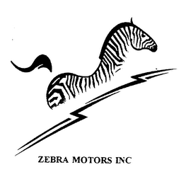 ZEBRA MOTORS INC logo