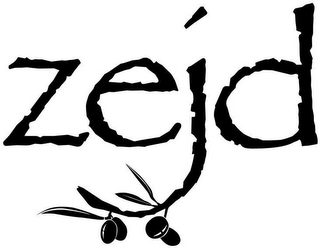 ZEJD logo