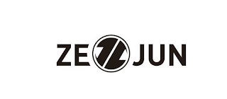 ZEJUN logo