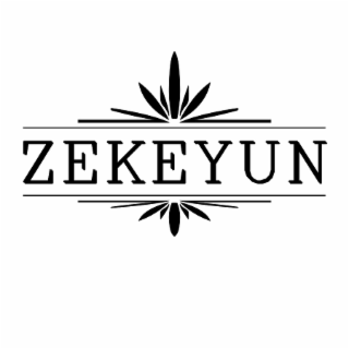 ZEKEYUN logo