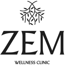 ZEM WELLNESS CLINIC logo