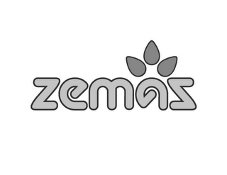 ZEMAS logo