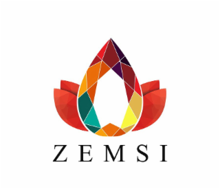 ZEMSI logo