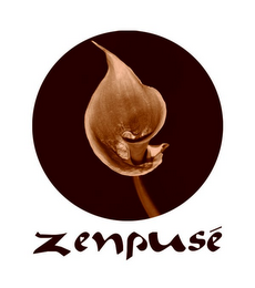 ZENPUSE logo