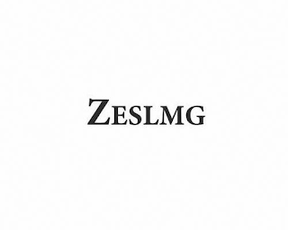 ZESLMG logo