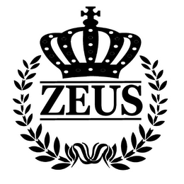 ZEUS logo