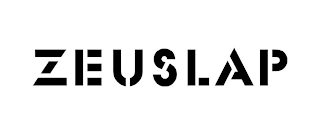 ZEUSLAP logo