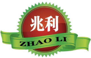 ZHAO LI logo
