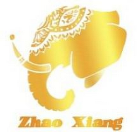ZHAO XIANG logo